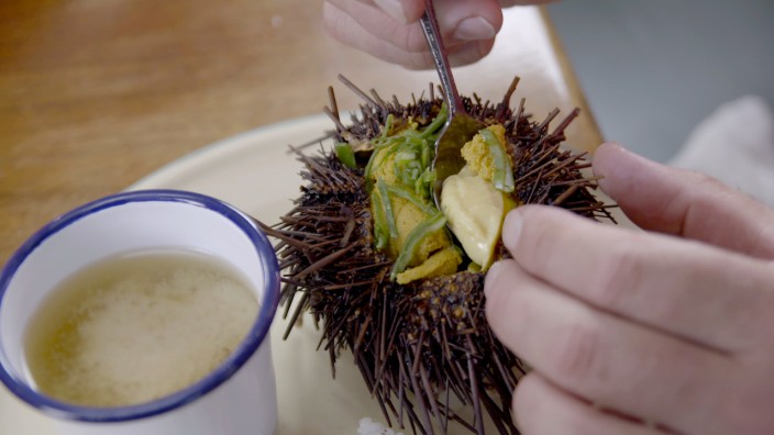 Sea Urchin Chawanmushi in a dish with chopsticks isolated on mat