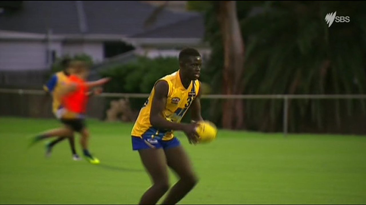 From Child Refugee To Afl Draftee Sbs On Demand