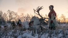 All Aboard The Sleigh Ride