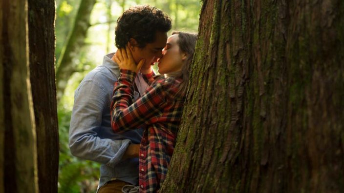 Into The Forest Streaming 10 pandemic movies and TV shows to stream, if you really feel like