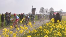 Replay: Paris-Roubaix 2019