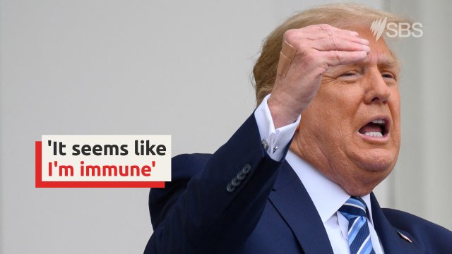 Donald Trump Claims He Is 'immune' From COVID-19 | SBS TV & Radio Guide