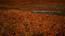 Full replay: Stage 8 - Vuelta a España