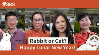 Lunar New Year - how to celebrate the Year of the Rabbit (or Cat) in the  Triangle - Triangle on the Cheap