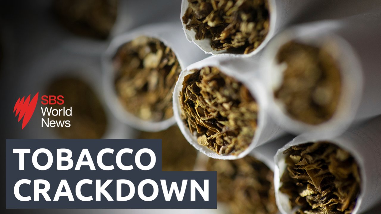what are the physical effects of tobacco Health effects of smoking tobacco what are the physical effects of tobacco Health effects of smoking tobacco