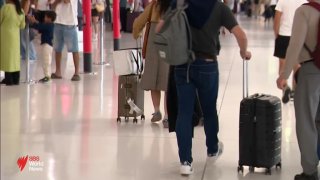 'Not where the problems are': Working holiday visa slowdown divides parties